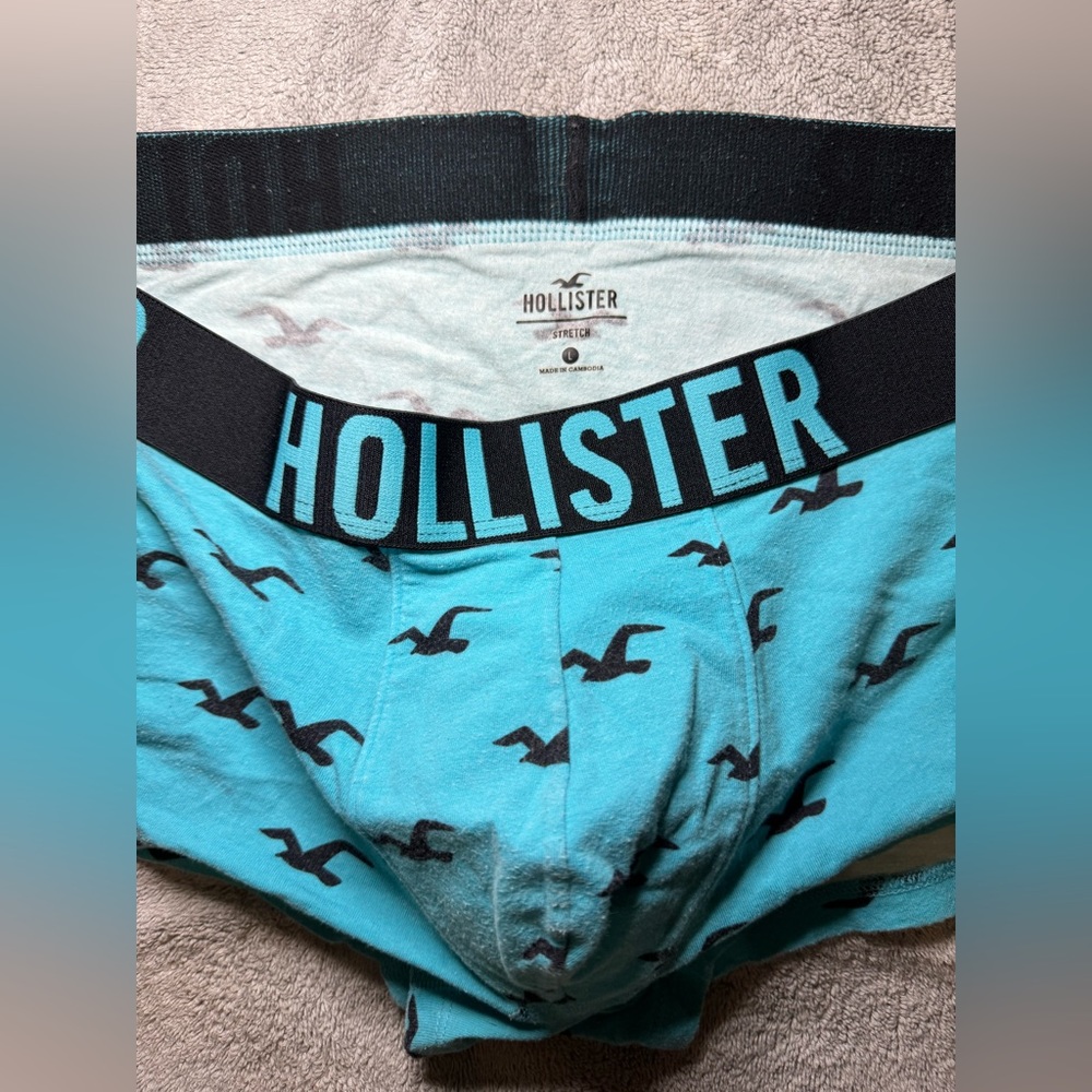 Hollister Boxer Brief - Picture 2 of 7
